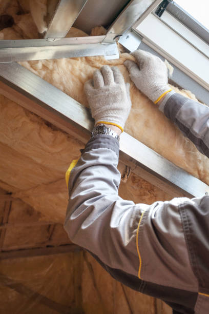 Types of Insulation We Offer in Campbell, FL